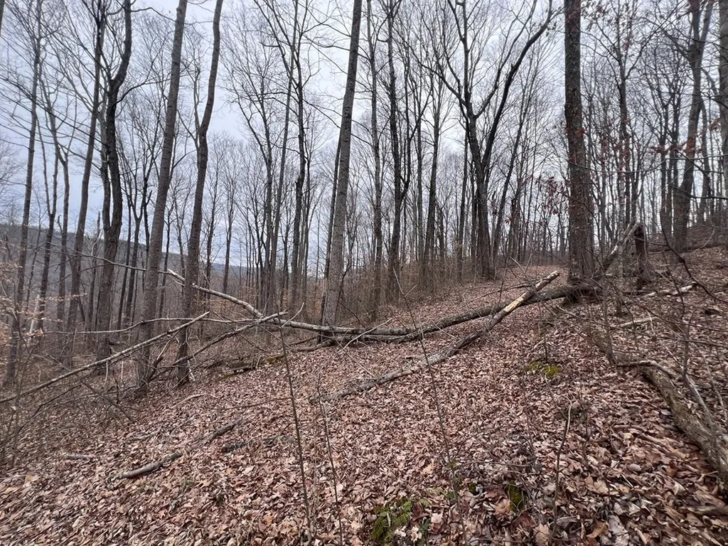 Lot 62 Apache Road Jamestown TN 38556