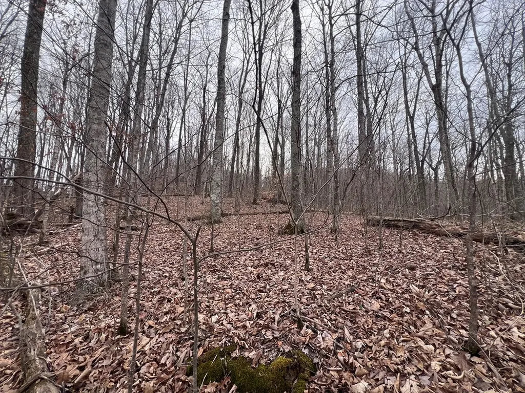 Lot 62 Apache Road Jamestown TN 38556