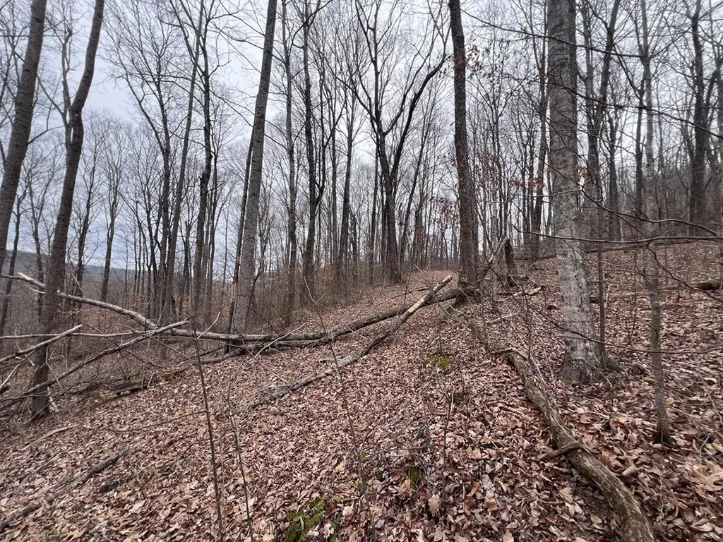 Lot 62 Apache Road Jamestown TN 38556