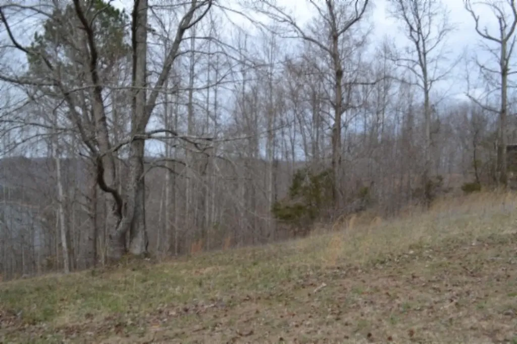 Lots 4&5 Fox Hill Road Baxter TN 38544