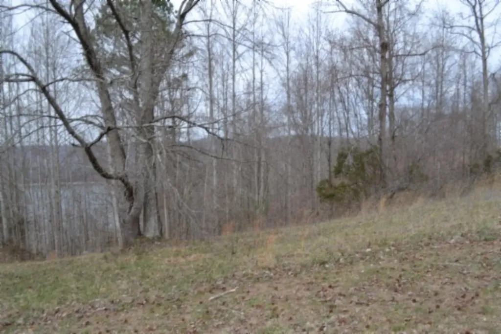 Lots 4&5 Fox Hill Road Baxter TN 38544