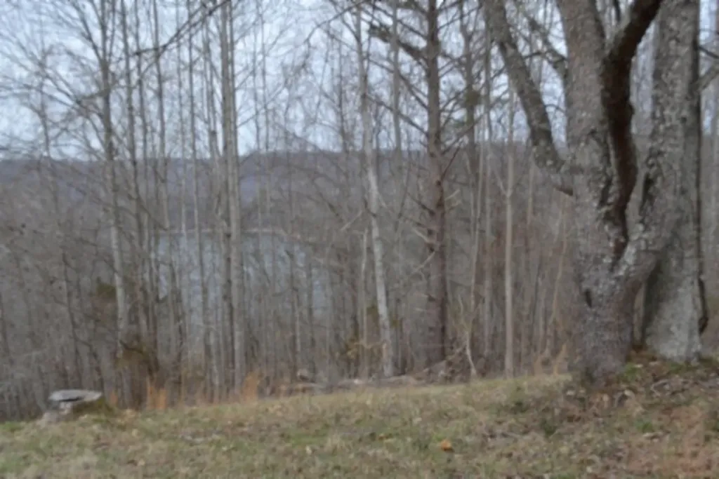 Lots 4&5 Fox Hill Road Baxter TN 38544
