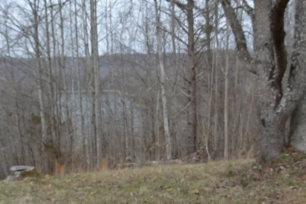Lots 4&5 Fox Hill Road Baxter TN 38544