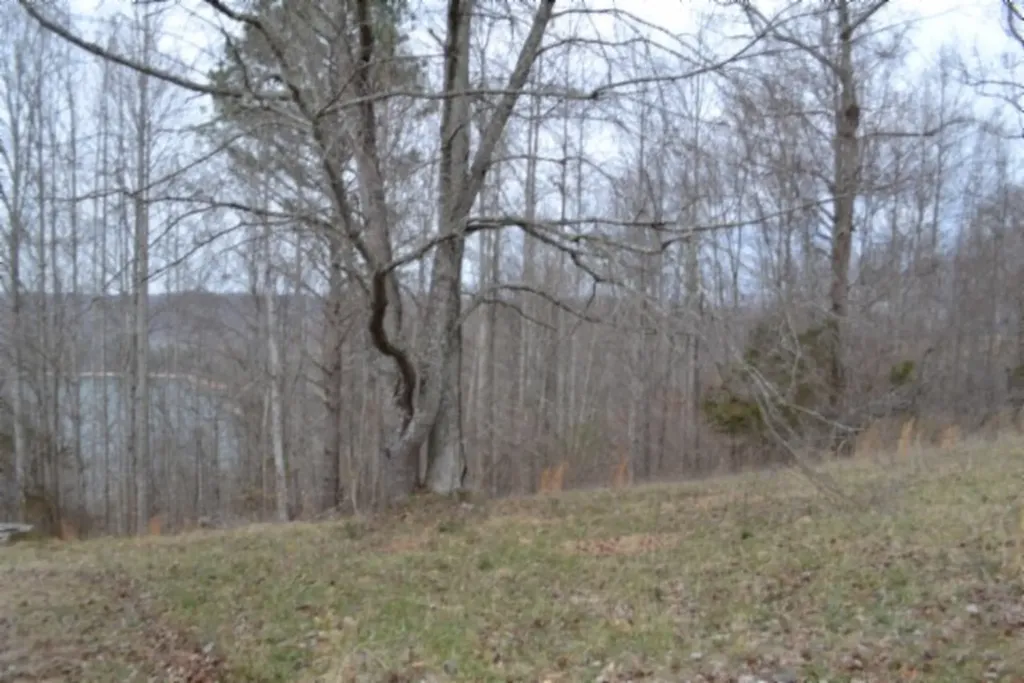 Lots 4&5 Fox Hill Road Baxter TN 38544