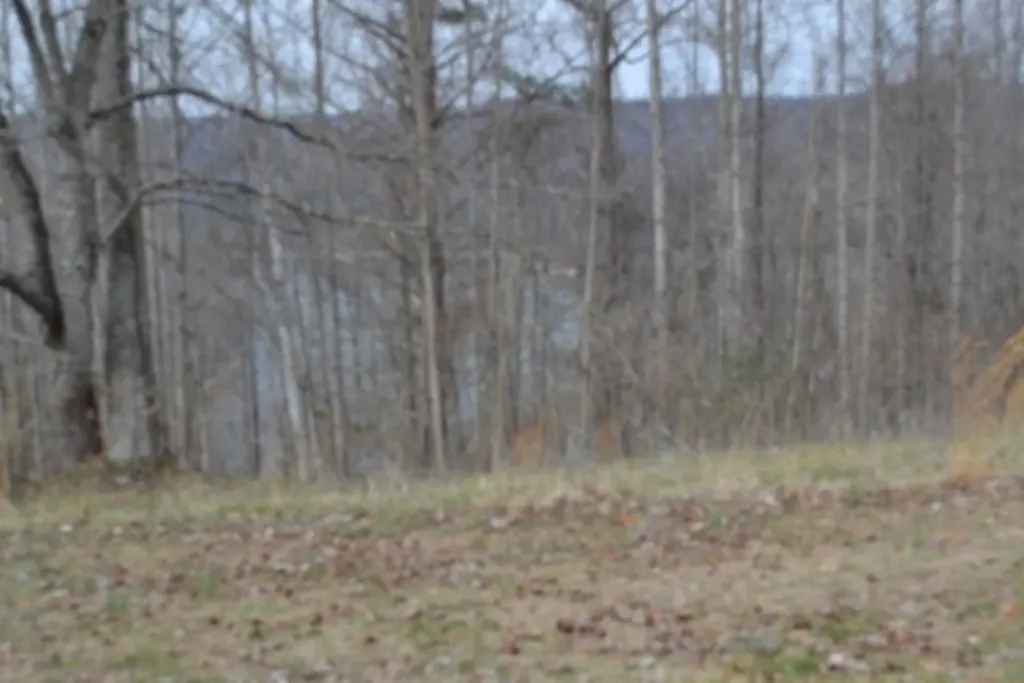 Lots 4&5 Fox Hill Road Baxter TN 38544