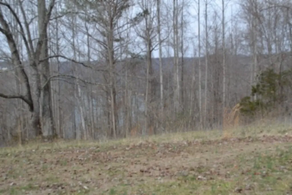 Lots 4&5 Fox Hill Road Baxter TN 38544