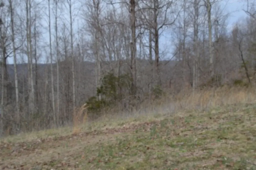 Lots 4&5 Fox Hill Road Baxter TN 38544