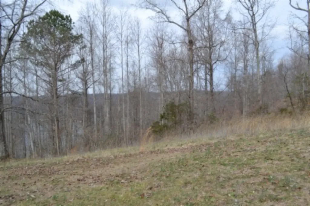 Lots 4&5 Fox Hill Road Baxter TN 38544