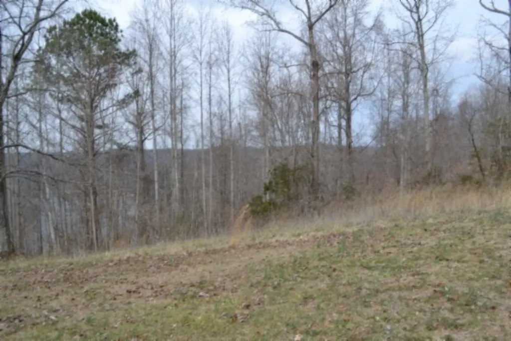 Lots 4&5 Fox Hill Road Baxter TN 38544