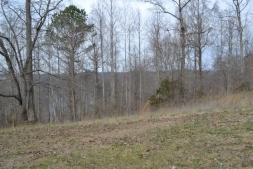 Lots 4&5 Fox Hill Road Baxter TN 38544