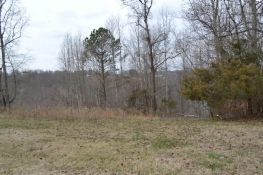 Lots 4&5 Fox Hill Road Baxter TN 38544
