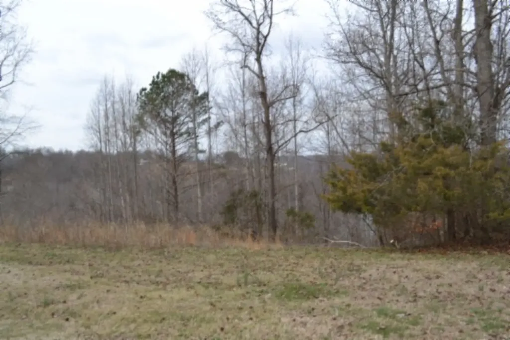 Lots 4&5 Fox Hill Road Baxter TN 38544