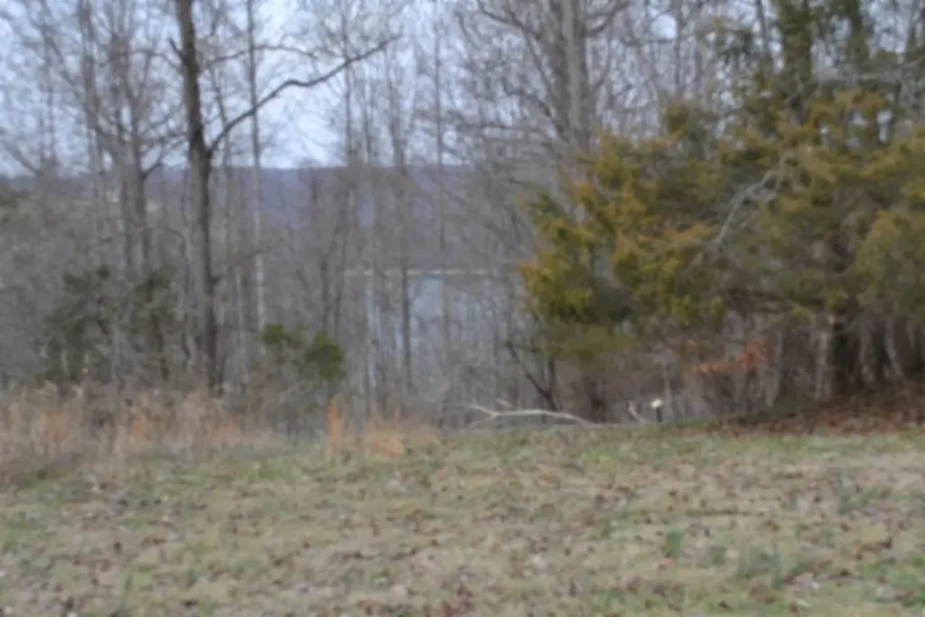 Lots 4&5 Fox Hill Road Baxter TN 38544