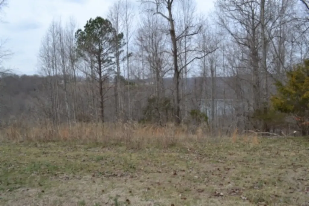 Lots 4&5 Fox Hill Road Baxter TN 38544
