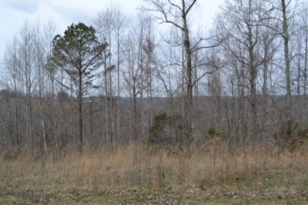 Lots 4&5 Fox Hill Road Baxter TN 38544
