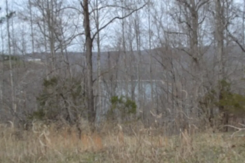 Lots 4&5 Fox Hill Road Baxter TN 38544