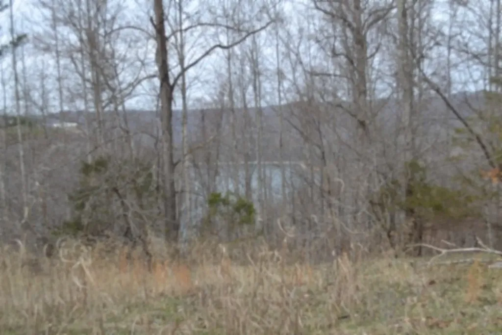 Lots 4&5 Fox Hill Road Baxter TN 38544