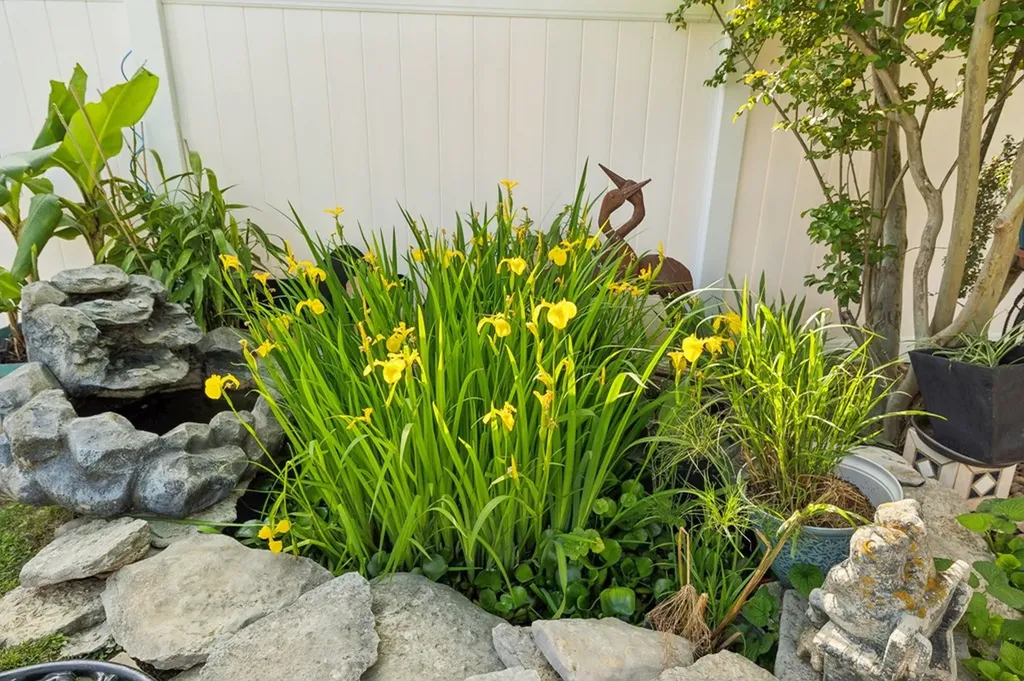 604 College Avenue E Carthage TN 37030