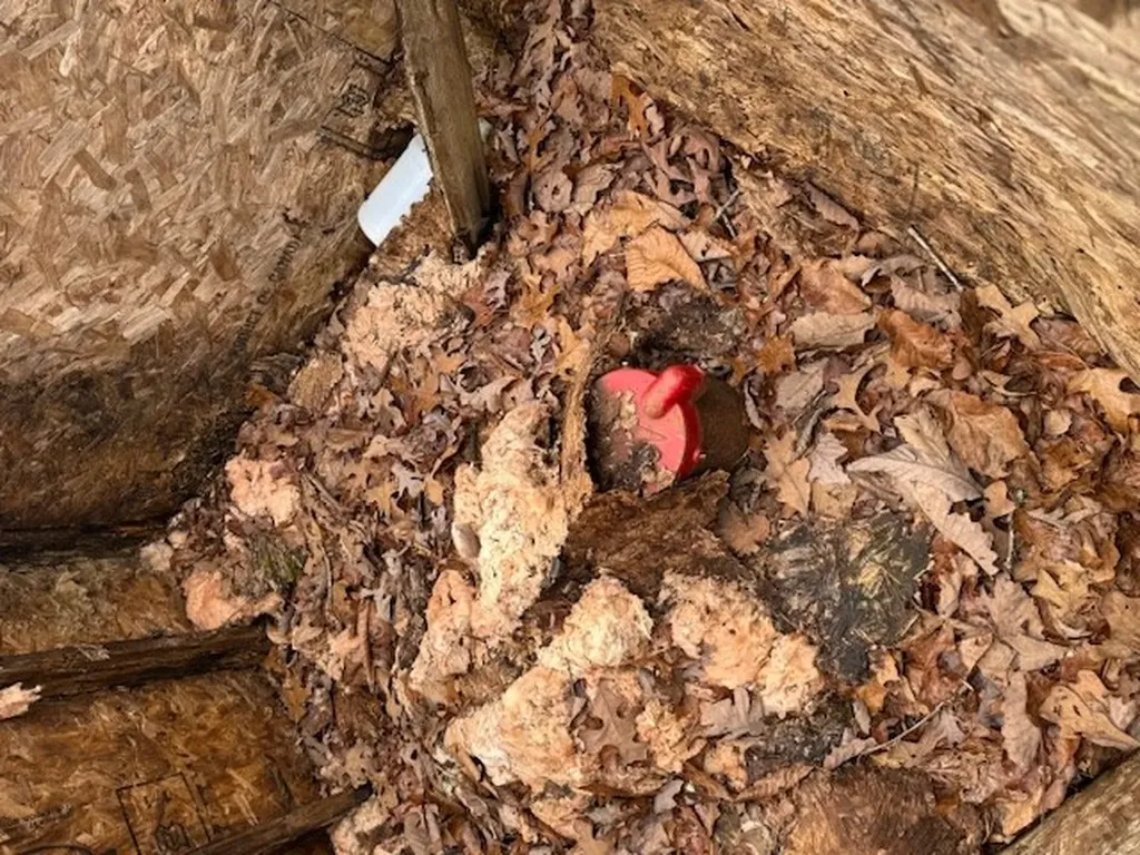 132 Killary Road Crossville TN 38572