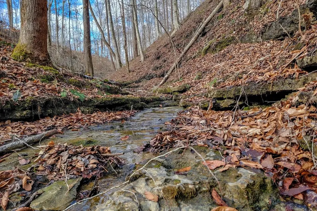 6.24 Ac Hutchins Bend Road Sparta TN 38583