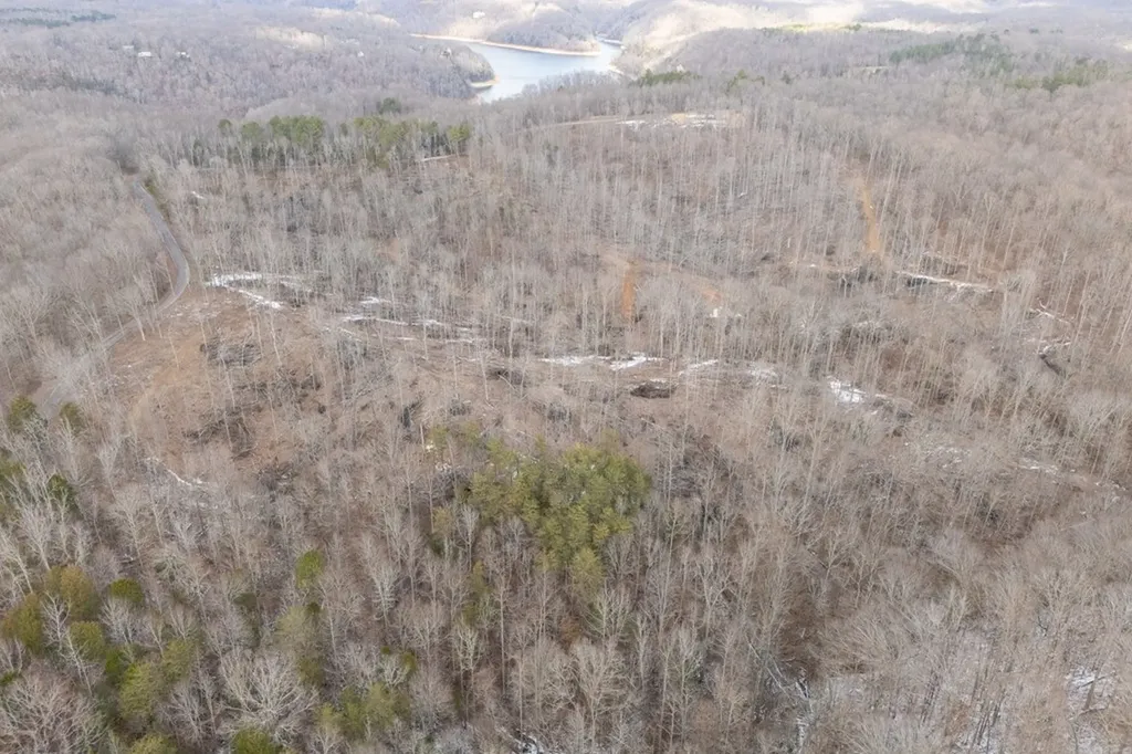 6.24 Ac Hutchins Bend Road Sparta TN 38583