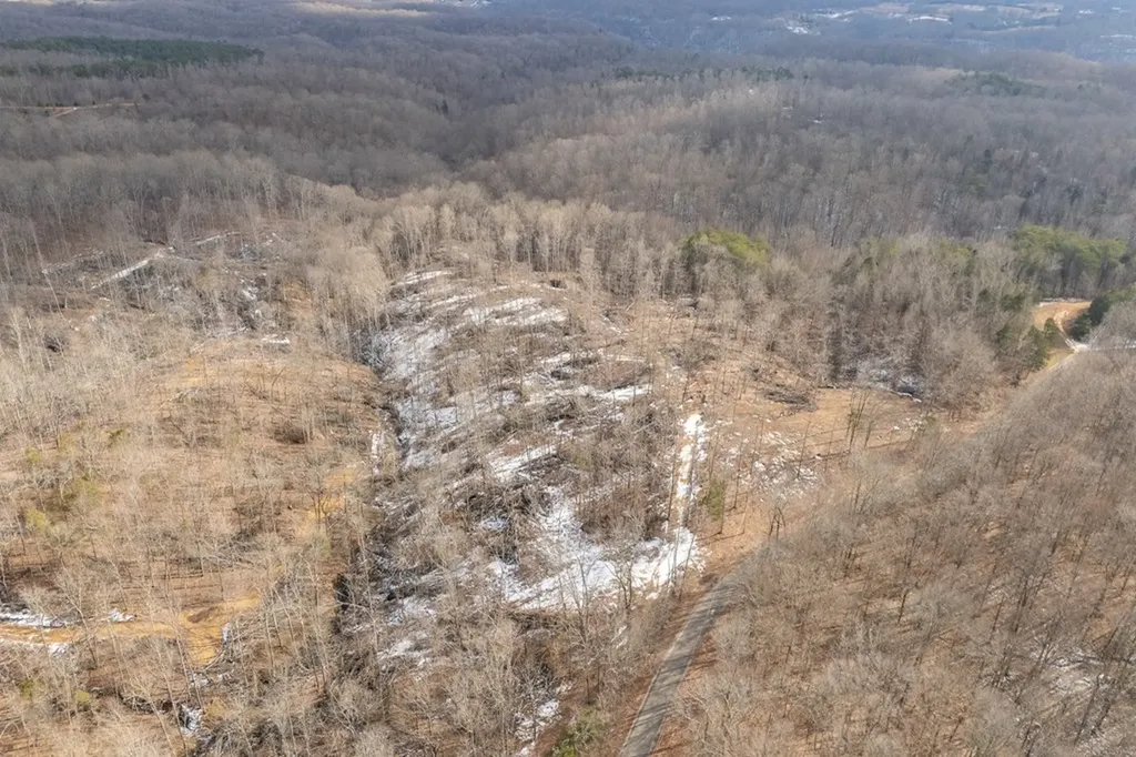 6.24 Ac Hutchins Bend Road Sparta TN 38583