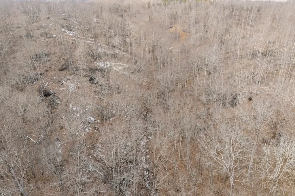 6.24 Ac Hutchins Bend Road Sparta TN 38583