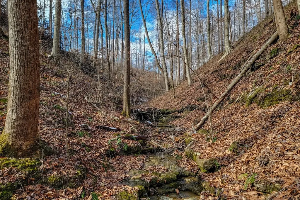 6.24 Ac Hutchins Bend Road Sparta TN 38583