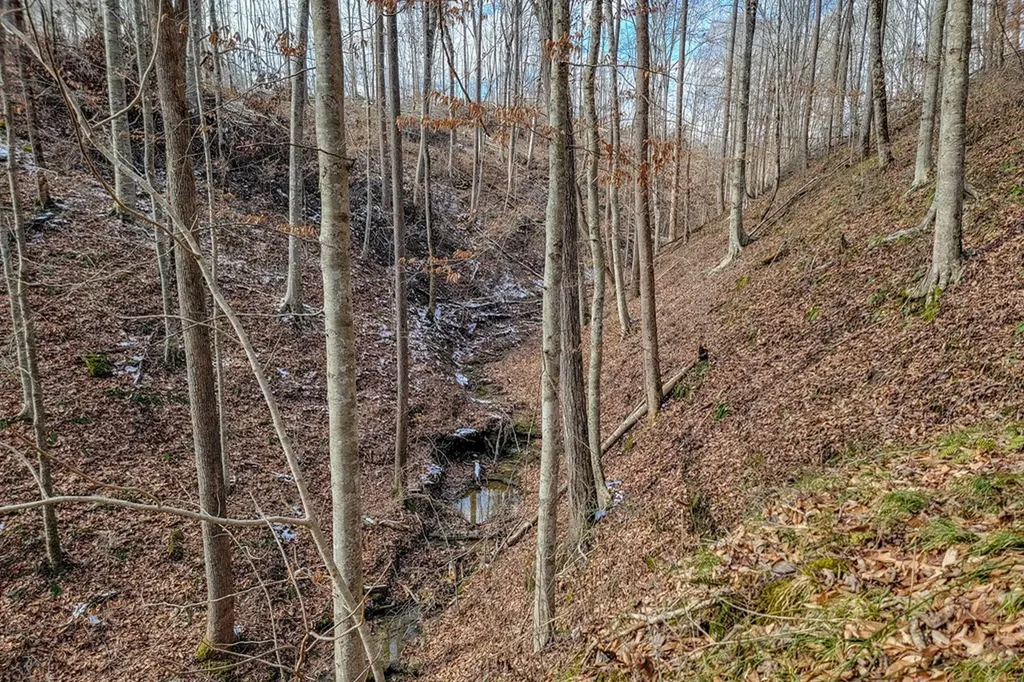 6.24 Ac Hutchins Bend Road Sparta TN 38583