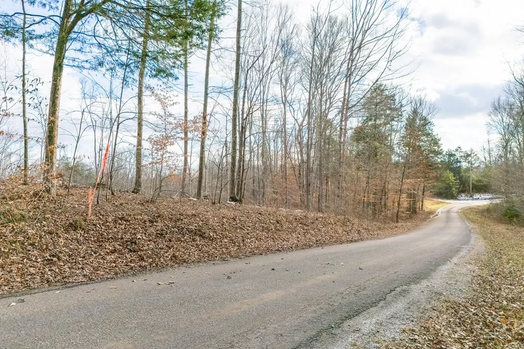 6.24 Ac Hutchins Bend Road Sparta TN 38583