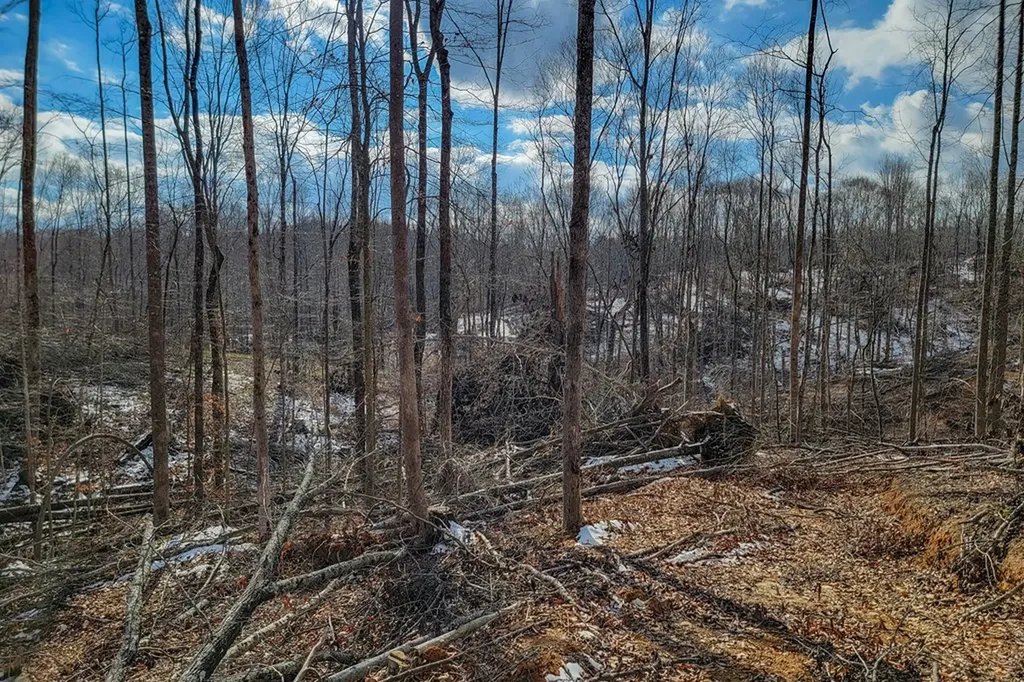 5.33 Ac Hutchins Bend Road Sparta TN 38583