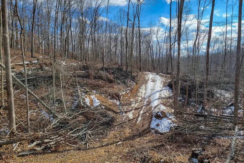 5.33 Ac Hutchins Bend Road Sparta TN 38583