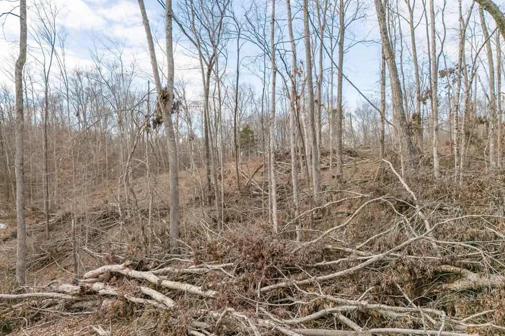 5.33 Ac Hutchins Bend Road Sparta TN 38583