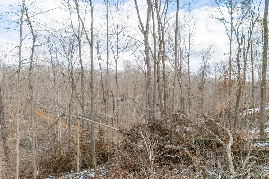 5.33 Ac Hutchins Bend Road Sparta TN 38583