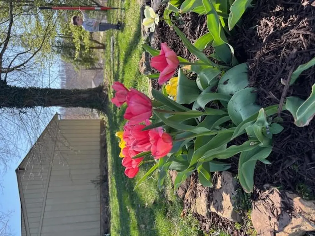 3547 Shannon Village Road Cookeville TN 38506