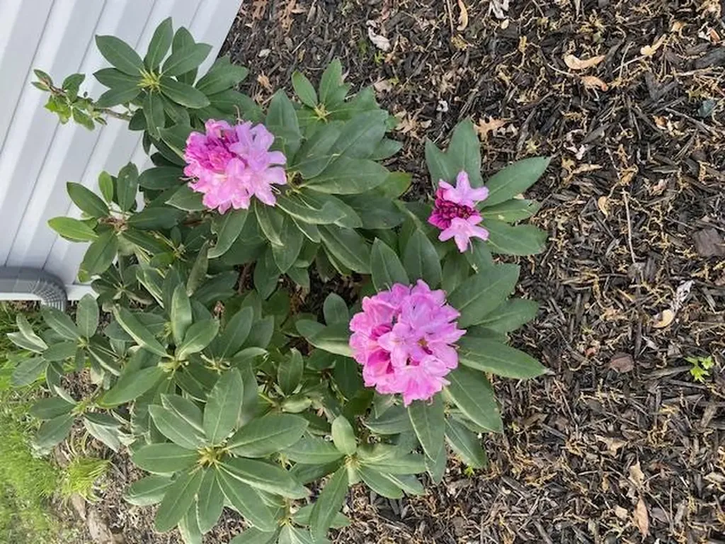 3547 Shannon Village Road Cookeville TN 38506