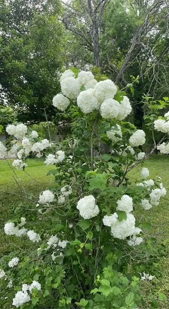 3547 Shannon Village Road Cookeville TN 38506