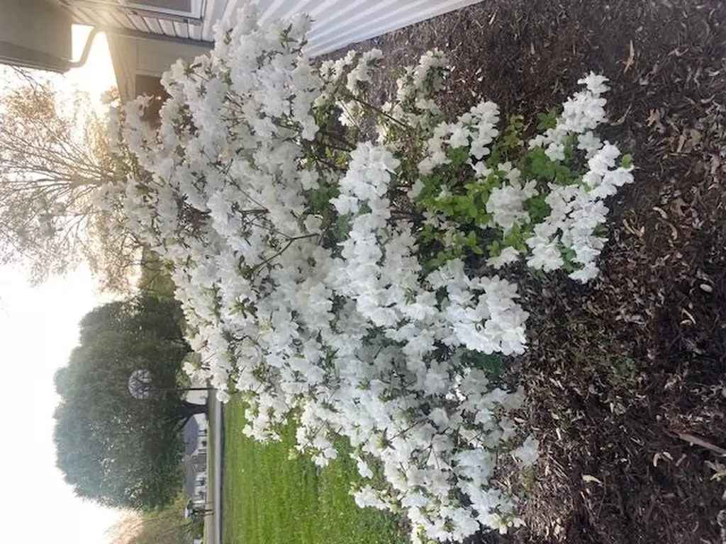 3547 Shannon Village Road Cookeville TN 38506