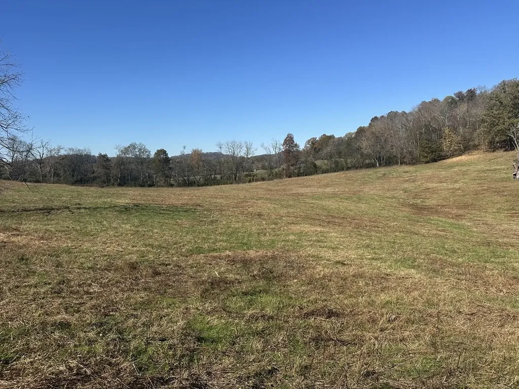 0 Mcclures Bend Lane Carthage TN 37030
