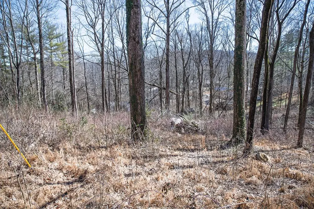 Lot 54 Lake Valley Drive Cookeville TN 38506