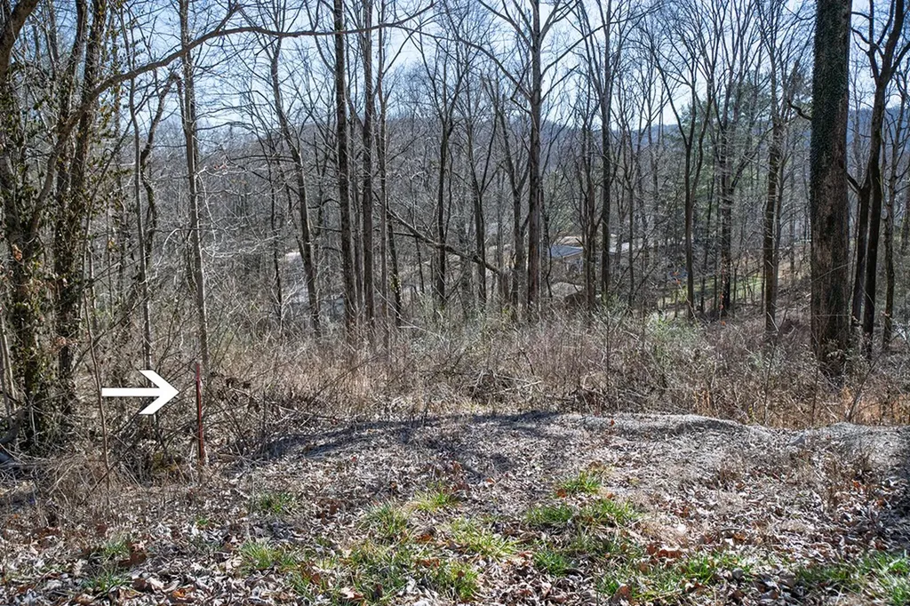 Lot 54 Lake Valley Drive Cookeville TN 38506