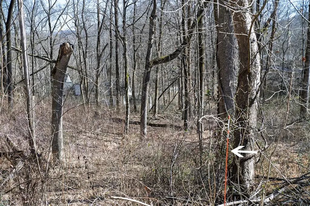Lot 54 Lake Valley Drive Cookeville TN 38506