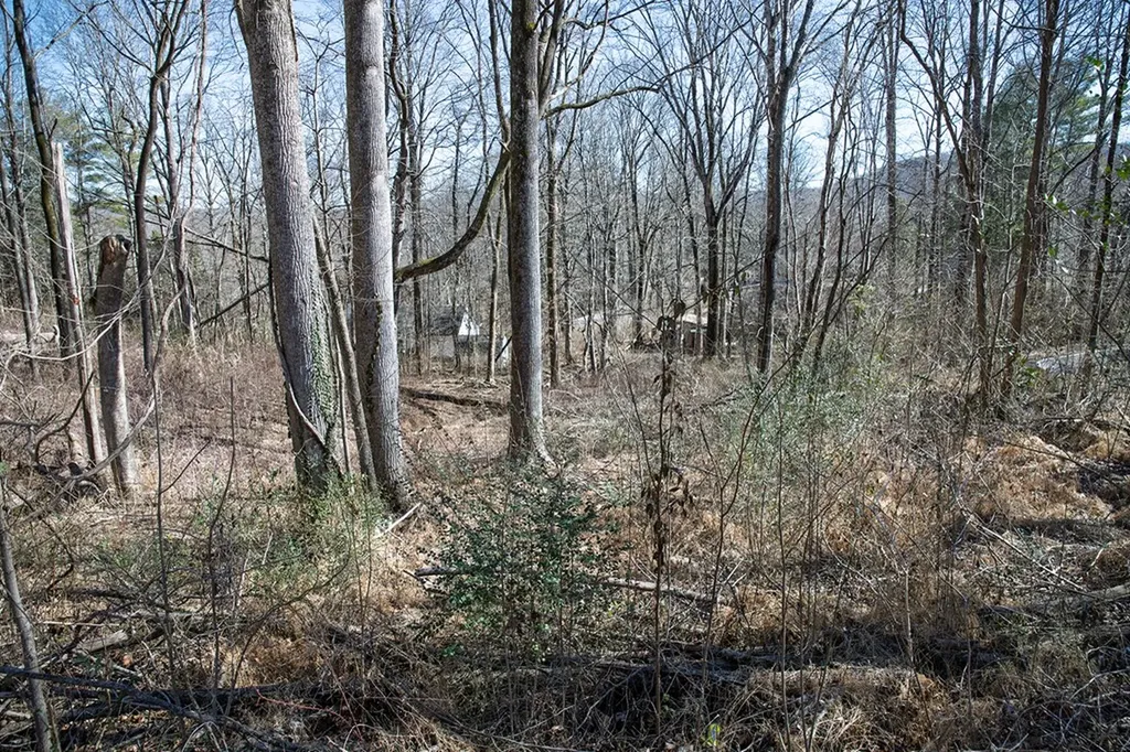 Lot 54 Lake Valley Drive Cookeville TN 38506