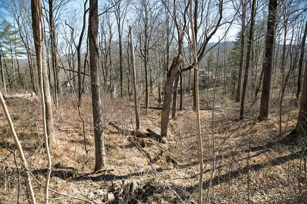 Lot 54 Lake Valley Drive Cookeville TN 38506