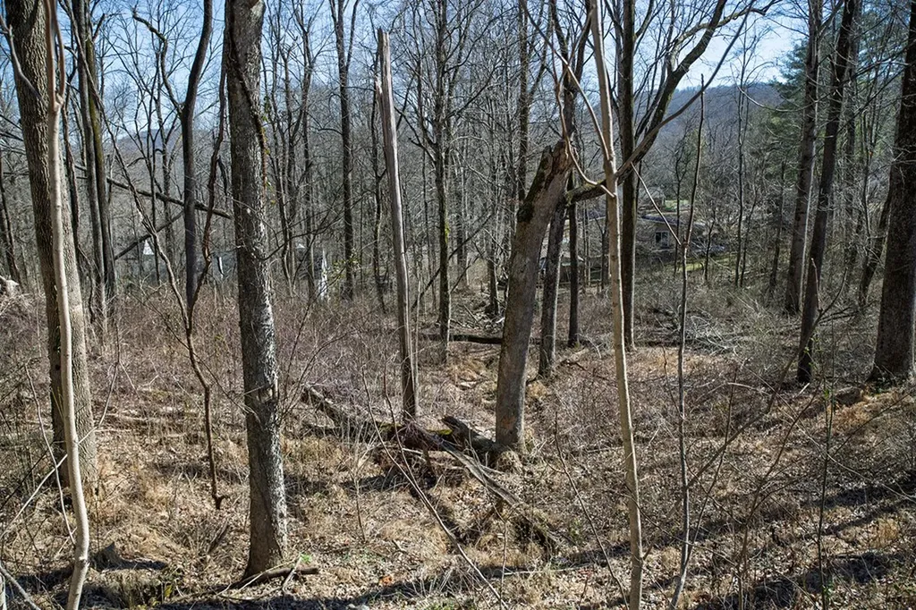 Lot 54 Lake Valley Drive Cookeville TN 38506
