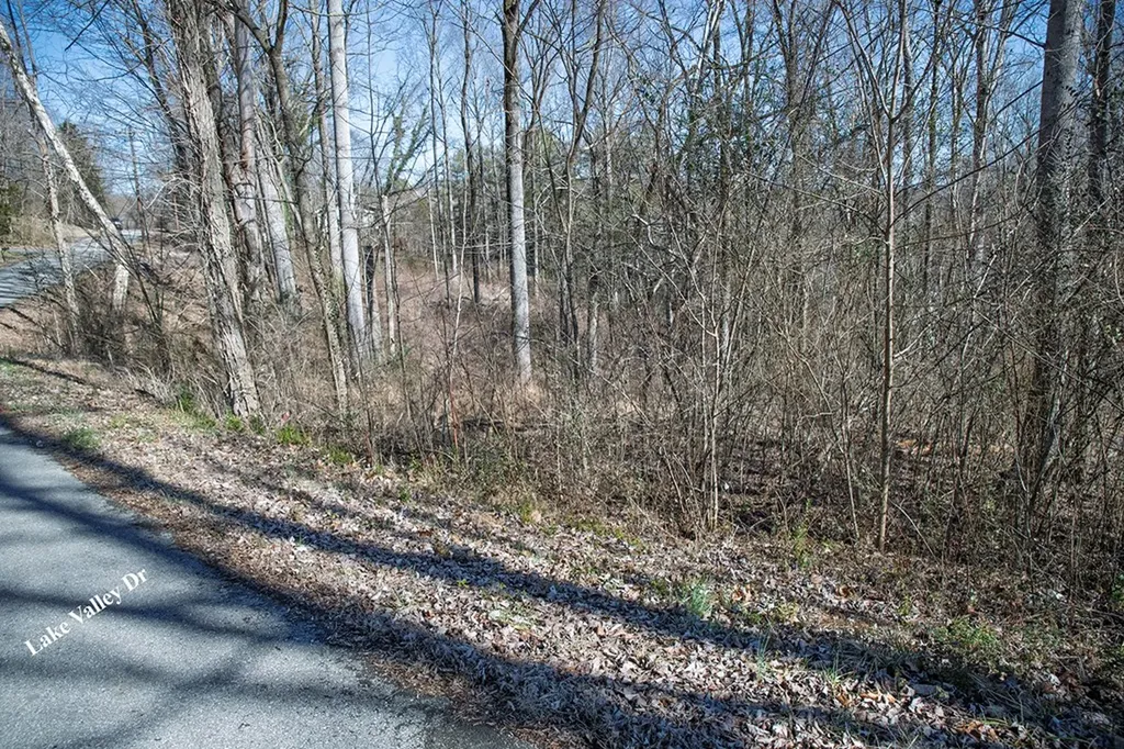 Lot 54 Lake Valley Drive Cookeville TN 38506