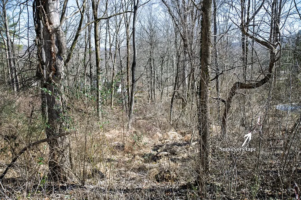 Lot 54 Lake Valley Drive Cookeville TN 38506
