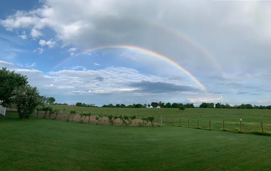 1188 Clarkrange Monterey Highway Clarkrange TN 38553