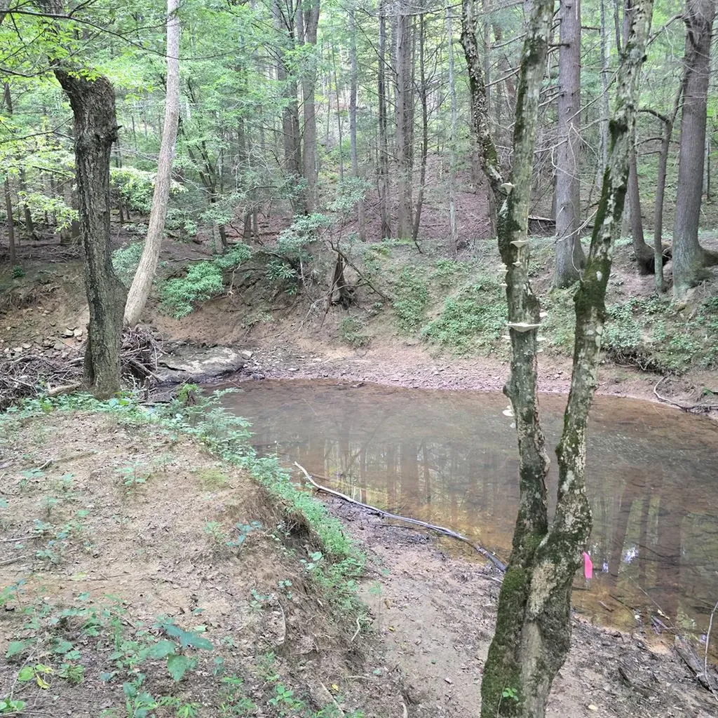 Tract 8 Boone Lane Sunbright TN 37872