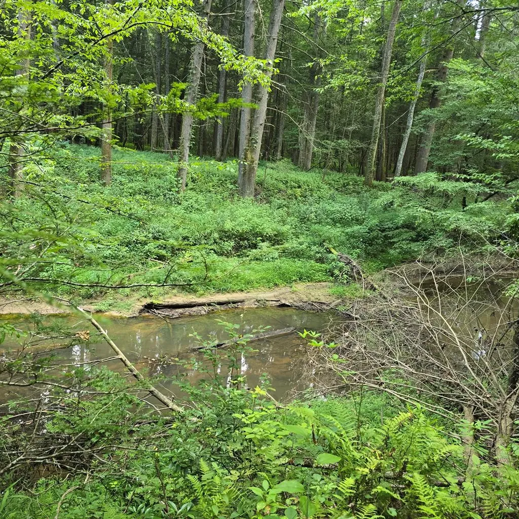 Tract 8 Boone Lane Sunbright TN 37872